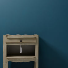 Load image into Gallery viewer, Into the Night Wall Paint