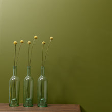 Load image into Gallery viewer, Constance Moss Wall Paint