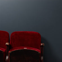 Load image into Gallery viewer, Dark Horse Trim Paint