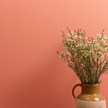 Load image into Gallery viewer, Earthy Wall Paint