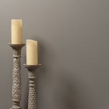 Load image into Gallery viewer, Goose Trim Paint