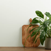 Load image into Gallery viewer, Sage Froth Wall Paint