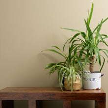 Load image into Gallery viewer, Funky Dora Trim Paint