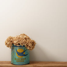 Load image into Gallery viewer, Corker Wall Paint