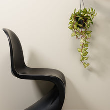 Load image into Gallery viewer, Ivory Tower Wall Paint