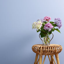 Load image into Gallery viewer, Moody Blue Trim Paint