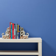 Load image into Gallery viewer, Pool Boy Trim Paint