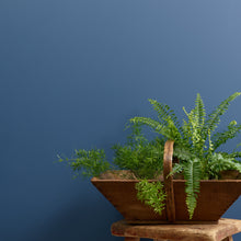 Load image into Gallery viewer, Smooth Operator Wall Paint