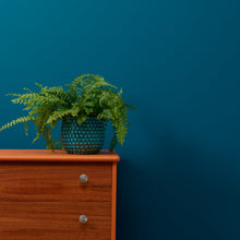 Load image into Gallery viewer, Steel Teal Trim Paint