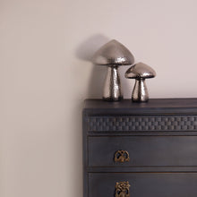 Load image into Gallery viewer, Stone in Love Trim Paint