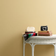 Load image into Gallery viewer, Straw Hat Trim Paint