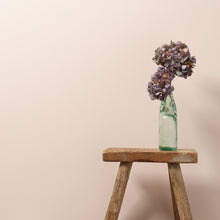 Load image into Gallery viewer, Sweetcheeks Wall Paint