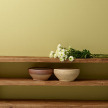 Load image into Gallery viewer, Citrine Wall Paint