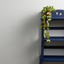 Load image into Gallery viewer, Cloud 9 Trim Paint