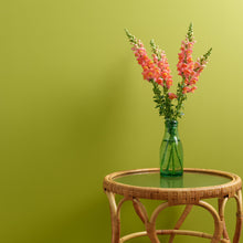 Load image into Gallery viewer, Lime Light Wall Paint