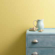 Load image into Gallery viewer, Oopsy Daisy Wall Paint
