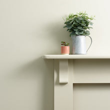 Load image into Gallery viewer, Putty Perfect Wall Paint