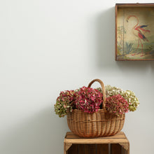 Load image into Gallery viewer, Serenity Wall Paint