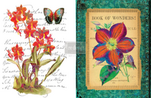 Load image into Gallery viewer, REDESIGN DÉCOR TRANSFERS® – WONDROUS FLORA 22″X 32″