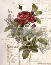 Load image into Gallery viewer, REDESIGN DÉCOR TRANSFERS® – BOTANICAL ROSE 24″X 30