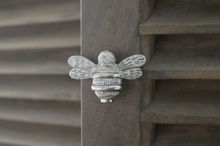 Load image into Gallery viewer, Brass Bee Drawer Knob - Satin Finish