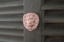 Load image into Gallery viewer, Brass Lion Drawer Knob - Rose Gold Finish