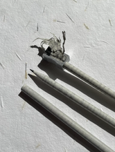 Load image into Gallery viewer, Seed pencils - recycled rolled newspaper - carrot seeds - sustainably sourced graphite - botanical stationary - eco pencil