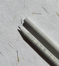 Load image into Gallery viewer, Seed pencils - recycled rolled newspaper - coriander seeds - sustainably sourced graphite - botanical stationary - eco pencil