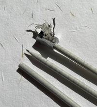 Load image into Gallery viewer, Seed pencils - recycled rolled newspaper - coriander seeds - sustainably sourced graphite - botanical stationary - eco pencil