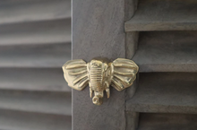 Load image into Gallery viewer, Brass Elephant Drawer Knob - Brass/Gold Finish