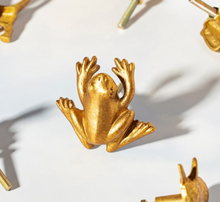 Load image into Gallery viewer, GOLD FROG DRAWER KNOB