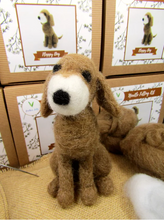 Load image into Gallery viewer, Floppy Dog Needle Felting Kit