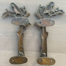 Load image into Gallery viewer, Pair of Parrot on Door Handles