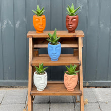 Load image into Gallery viewer, *Limited Edition*  Peppermint Al Fresco 500ml