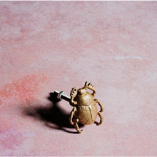 Load image into Gallery viewer, GOLD SCARAB BEETLE DRAWER KNOB