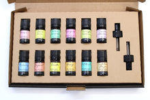 Load image into Gallery viewer, Aromatherapy Essential Oil Set - The Top 12
