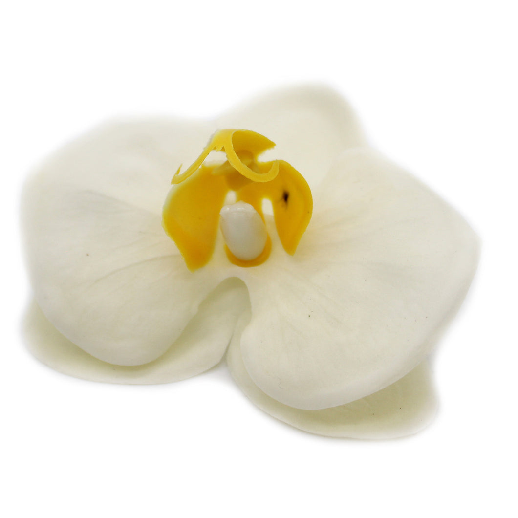 Craft Soap Flower - Paeonia - Cream - 10 Piece