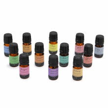 Load image into Gallery viewer, Aromatherapy Essential Oil Set - Autumn Set
