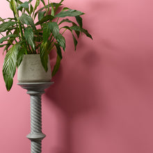 Load image into Gallery viewer, Macaroon Trim Paint
