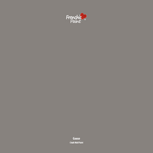 Load image into Gallery viewer, Goose - Peel &amp; Stick Paint Sample
