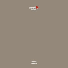 Load image into Gallery viewer, Moleskin - Peel &amp; Stick Paint Sample
