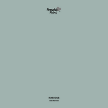 Load image into Gallery viewer, Mother Duck - Peel &amp; Stick Paint Sample
