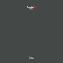 Load image into Gallery viewer, Panther - Peel &amp; Stick Paint Sample

