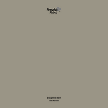 Load image into Gallery viewer, Dangerous Dave - Peel &amp; Stick Paint Sample
