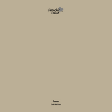 Load image into Gallery viewer, Fennec - Peel &amp; Stick Paint Sample
