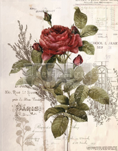 Load image into Gallery viewer, REDESIGN DÉCOR TRANSFERS® – BOTANICAL ROSE 24″X 30
