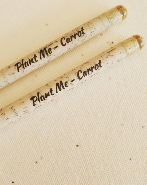 Seed pencils - recycled rolled newspaper - carrot seeds - sustainably sourced graphite - botanical stationary - eco pencil