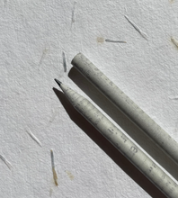 Load image into Gallery viewer, Seed pencils - recycled rolled newspaper - coriander seeds - sustainably sourced graphite - botanical stationary - eco pencil
