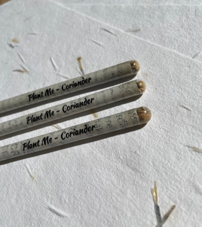 Seed pencils - recycled rolled newspaper - coriander seeds - sustainably sourced graphite - botanical stationary - eco pencil