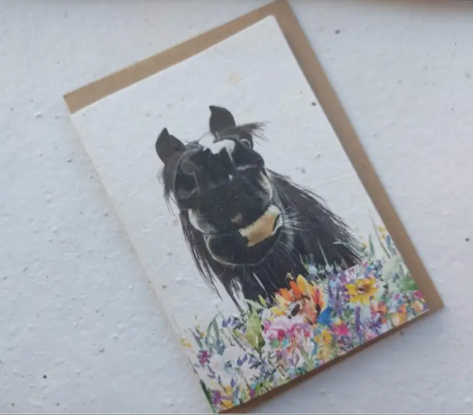 ECO AND VEGAN PLANTABLE FLOWER SEED CARDS - HORSE